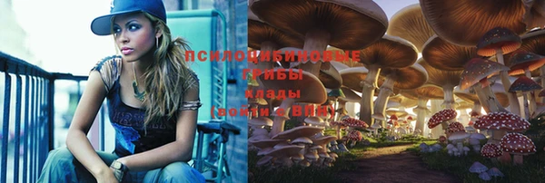 синтетический гашиш Ладушкин