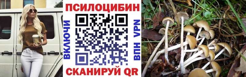 Псилоцибиновые грибы Psilocybine cubensis  hydra вход  Ростов-на-Дону 